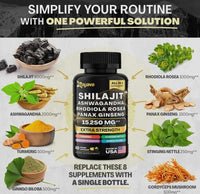 Shilajit, Ashwagandha, Rhodiola Rosea, Panax Ginseng 15.250 MG Extra Strength (60 capsules)